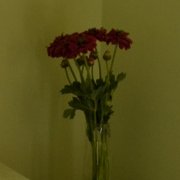 B&B Terni