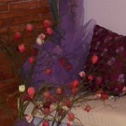 B&B Terni