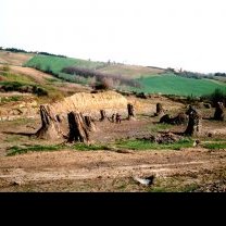 La Foresta Fossile di Dunarobba